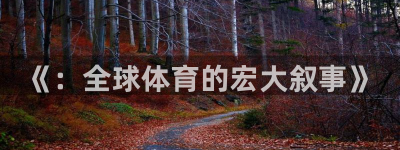 一竞技官网下载招商电话号码查询：《：全球体育的宏大叙