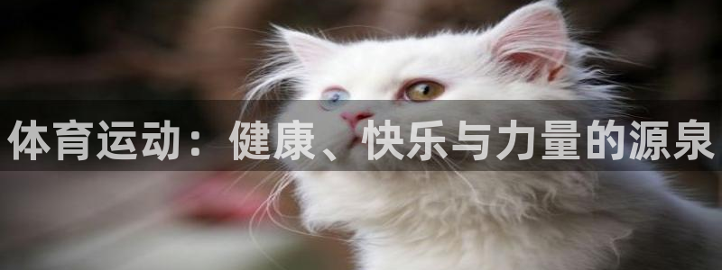 一竞技官网下载招商电话：体育运动：健康、快乐与力量的