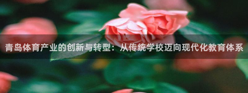 一竞技官方正版app娱乐网站：青岛体育产业的创新与转型：从传