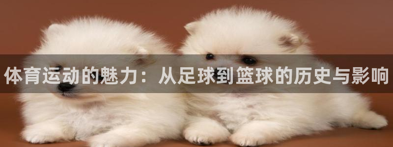 一竞技官网下载平台假的吗是真的吗：体育运动的魅力：从