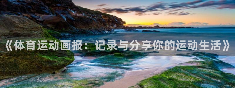 一竞技官网下载平台注册要钱吗：《体育运动画报：记录与