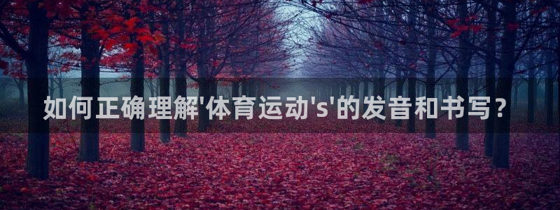 海南一竞技官网下载：如何正确理解\'体育运动\'s\