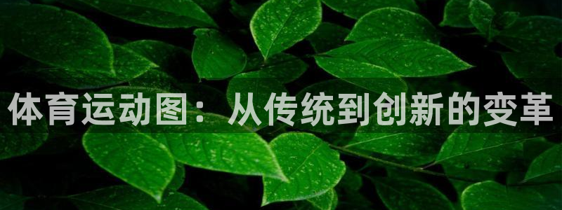 一竞技官方正版app代理：体育运动图：从传统到创新的变革