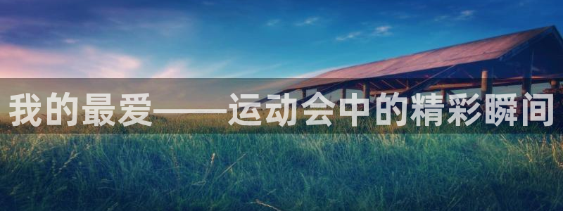 一竞技官方正版app集团logo：我的最爱——运动会
