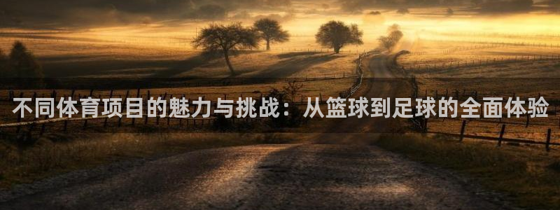 一竞技官方正版app娱乐是那个系列的台子：不同体育项目的魅力