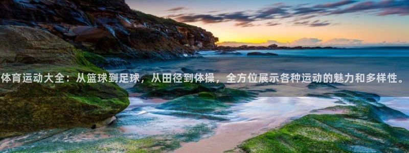 一竞技官方正版app开户：体育运动大全：从篮球到足球