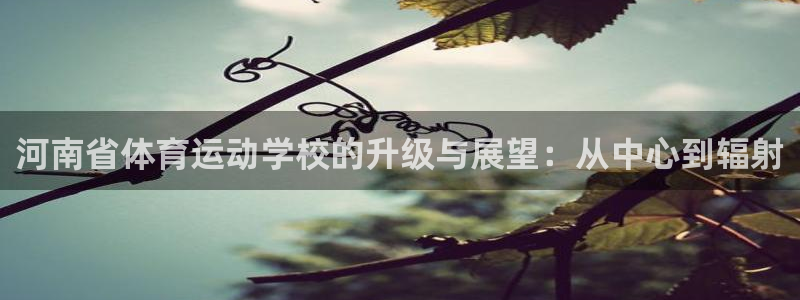 一竞技官网下载：河南省体育运动学校的升级与展望：从中