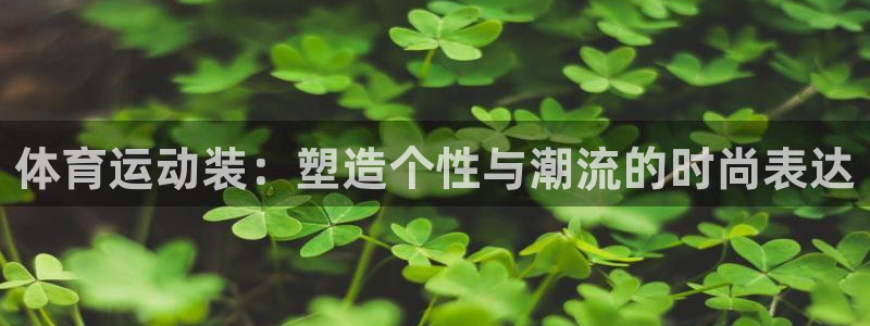 一竞技平台：体育运动装：塑造个性与潮