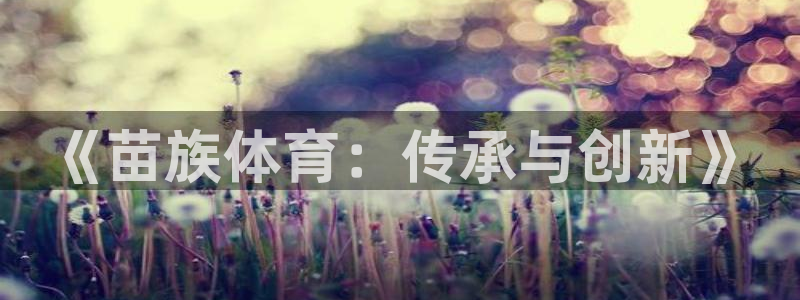 一竞技DOTA2选手Saksa：《苗族体育：传承与创新》