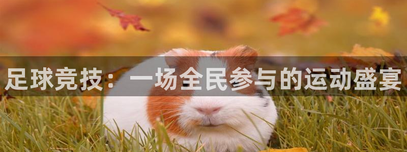 一竞技官网入口登录：足球竞技：一场全民参与的运动盛宴