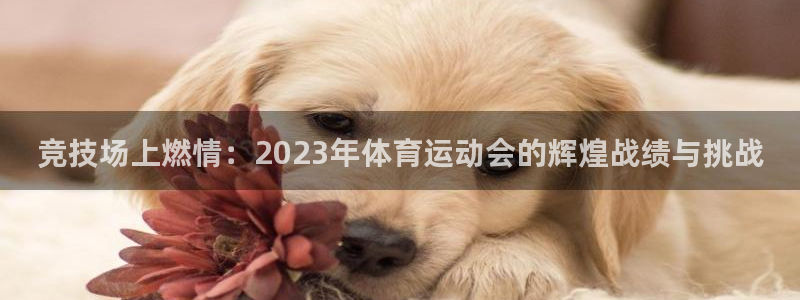 一竞技app官方入口：竞技场上燃情：