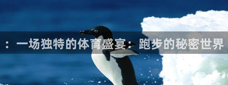 一竞技平台是正规软件吗：：一场独特的