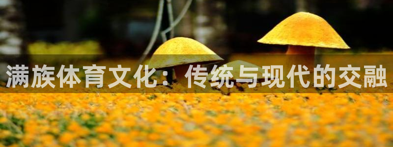  一竞技app下载官方版：满族体育文化：传统与现代的交融