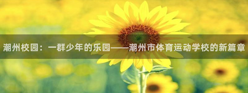 一竞技APP官方下载：潮州校园：一群少年的乐园——潮州市体育