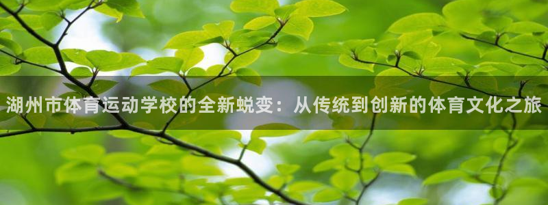  一竞技one卡：湖州市体育运动学校的全新蜕变：从传统到创新的