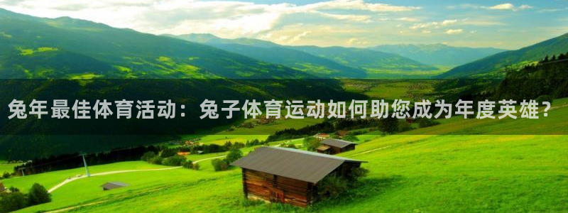  一竞技登录入口：兔年最佳体育活动：兔子体育运动如何助您成为年