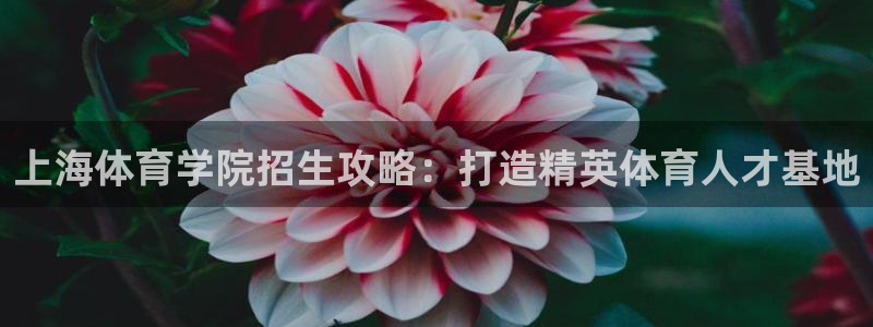 一竞技测速站网址是什么：上海体育学院招生攻略：打造精英体育人