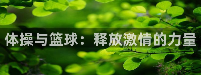 一竞技测速站网址是什么：体操与篮球：