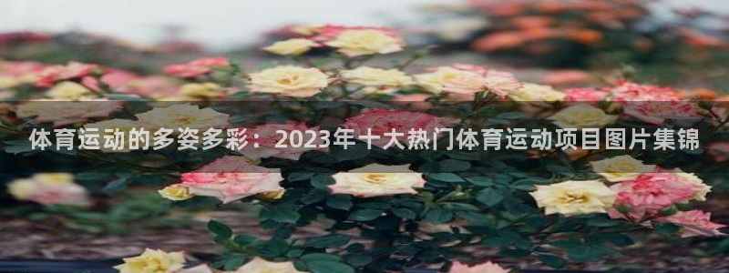 一竞技测速站：体育运动的多姿多彩：2023年十大热门体育运动