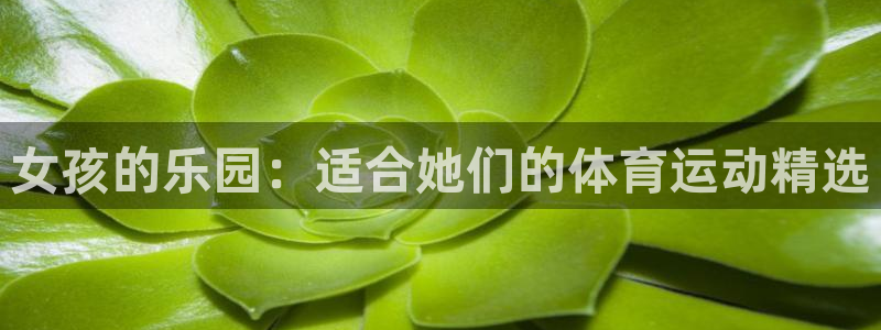 一竞技网址：女孩的乐园：适合她们的体育运动精选