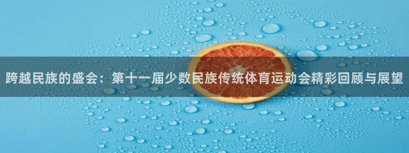  一竞技登录入口：跨越民族的盛会：第十一届少数民族传统体育运动
